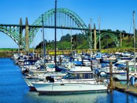 Newport Harbor